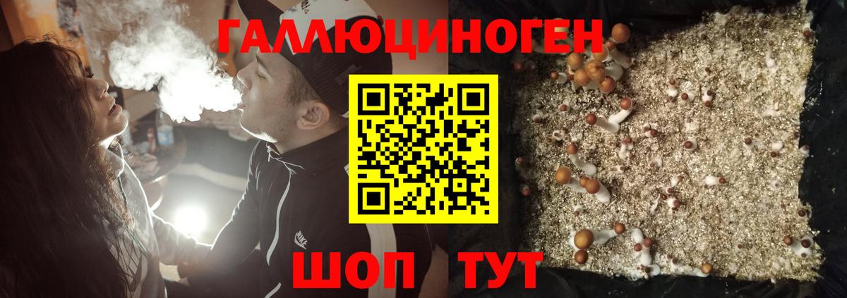 Галлюциногенные грибы прущие грибы Черкесск