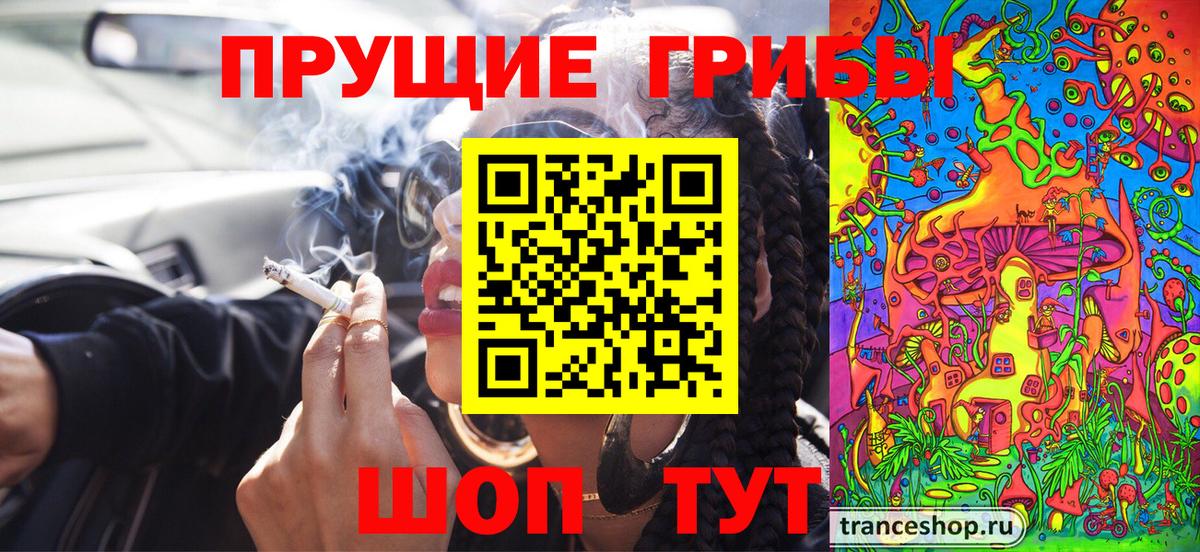 как найти   Вход с VPN  Галлюциногенные грибы Cubensis  Черкесск  Псилоцибиновые грибы MAGIC MUSHROOMS 