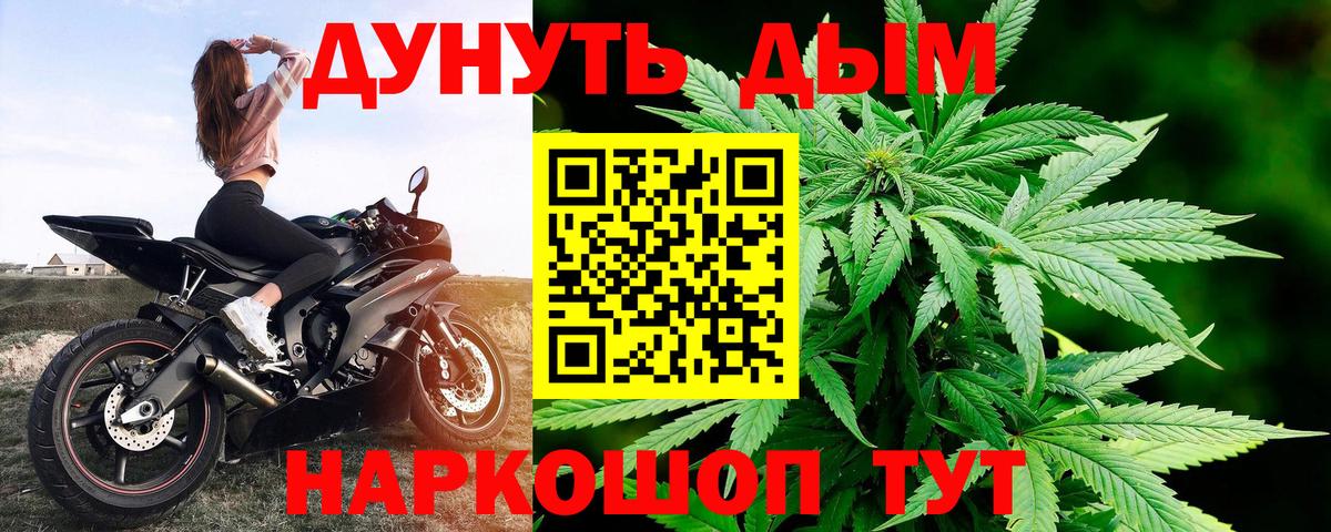 Конопля марихуана Черкесск